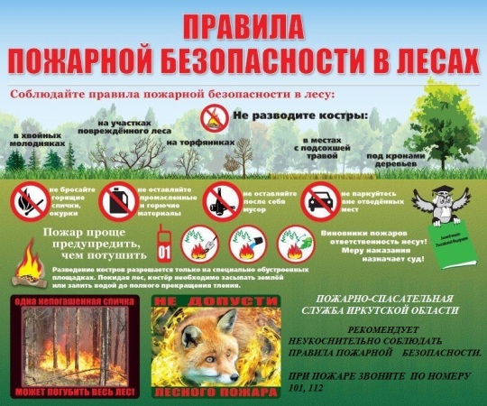 правила пожарной безопасности в лесу 1.jpg